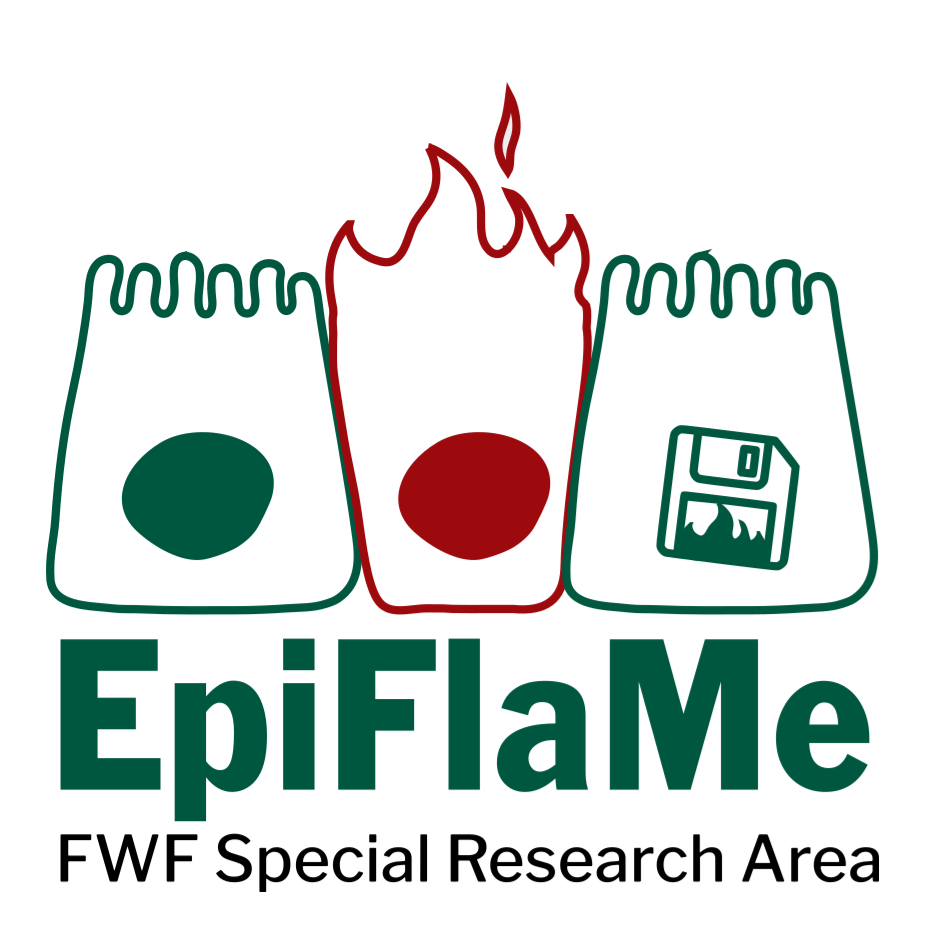 EpiFlaMe Logo