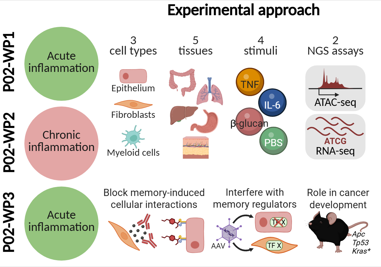 graphical abstract thomas v2