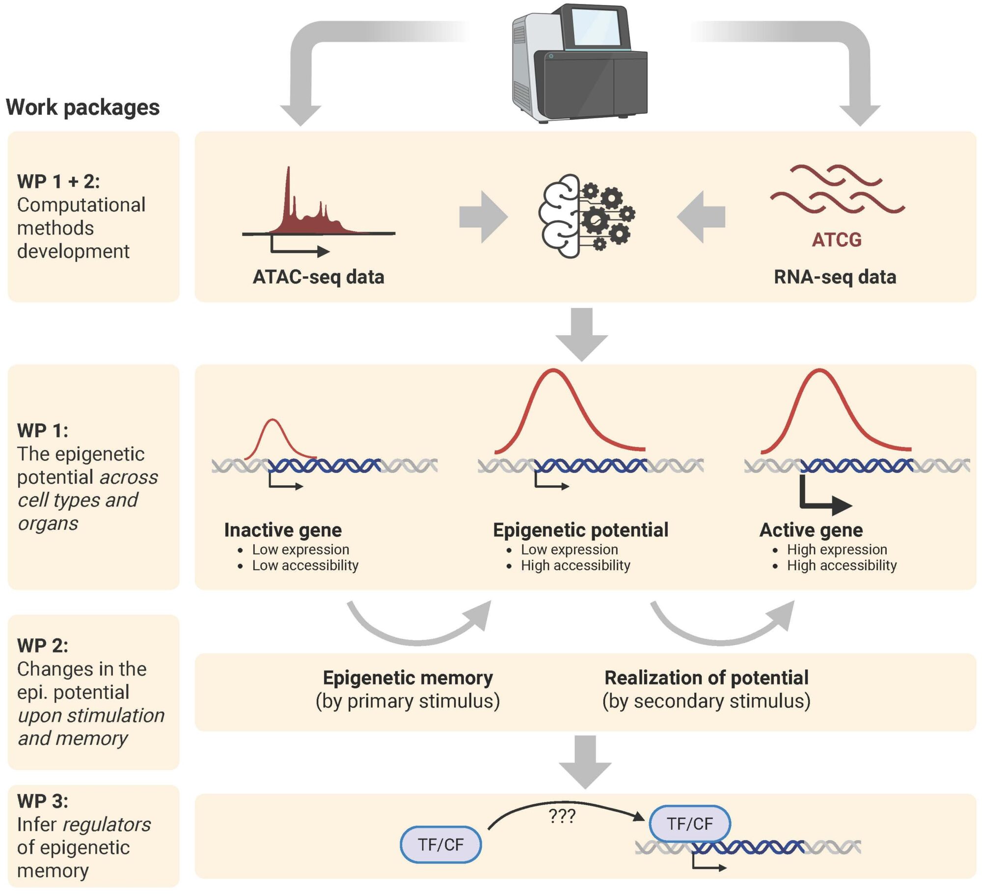 graphical abstract fortelny v2