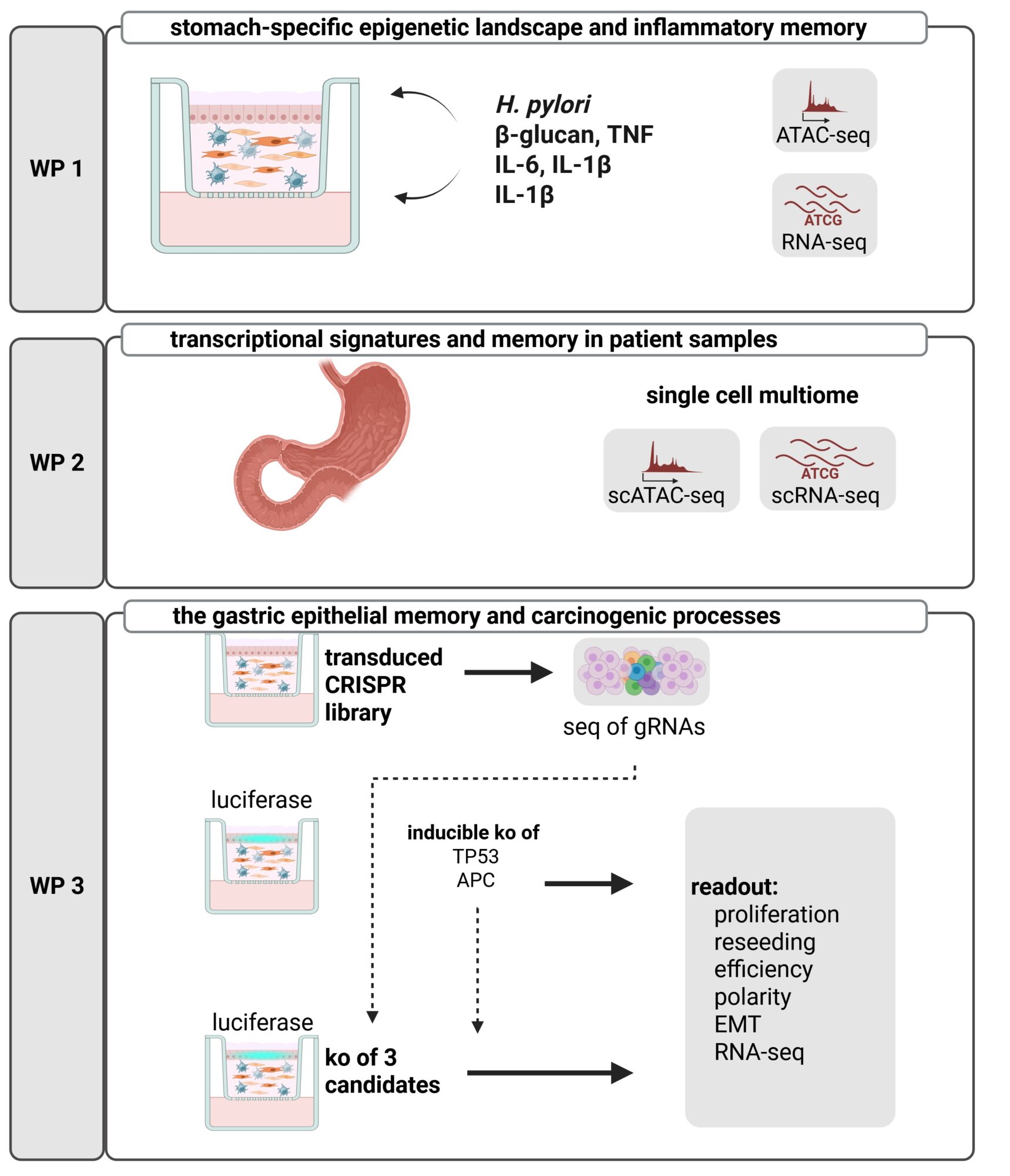 graphical abstract silja