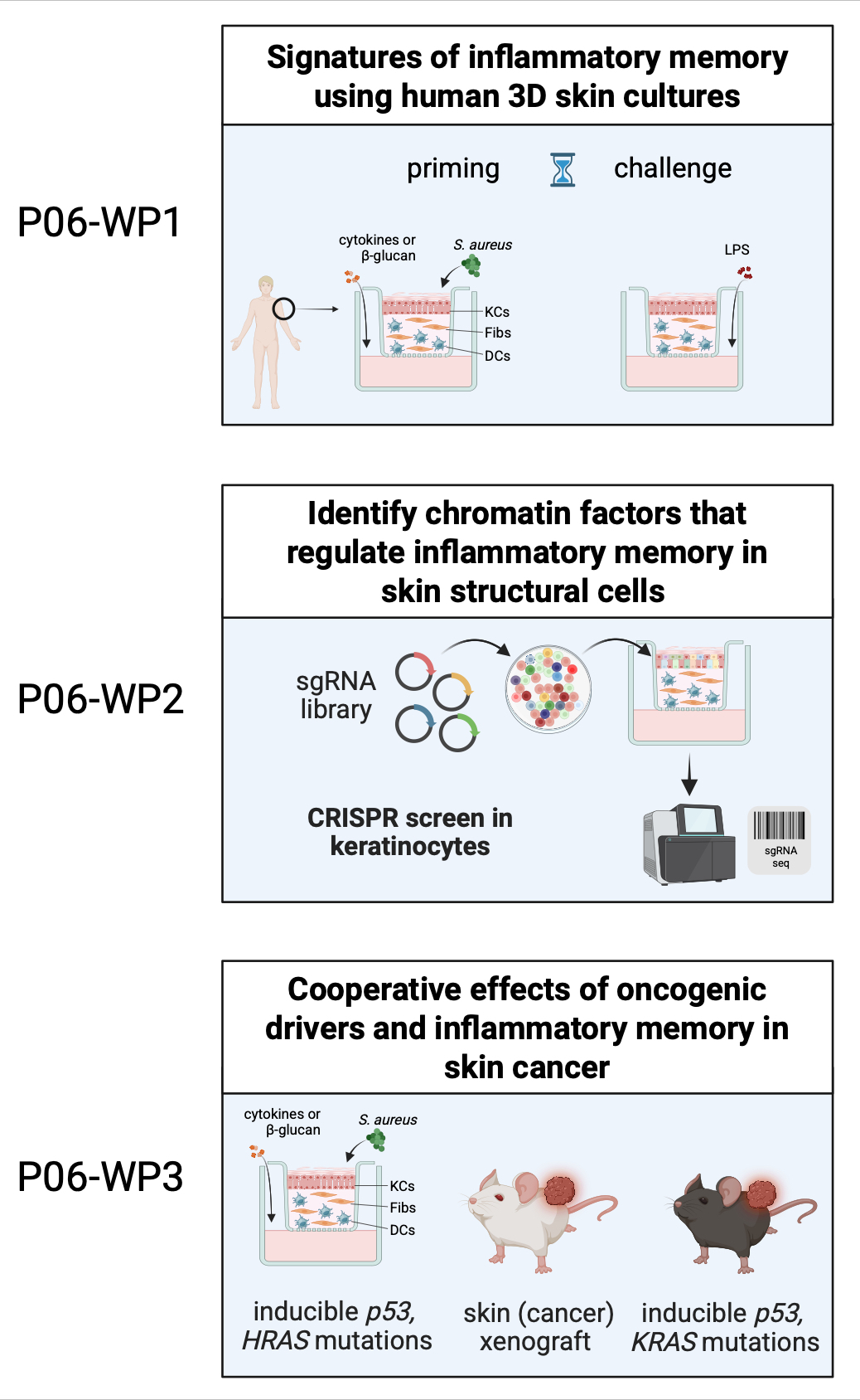 graphical abstract gratz v2