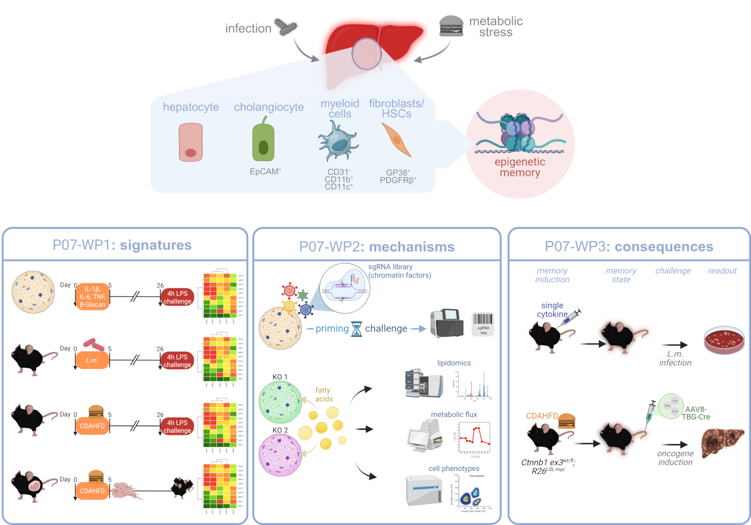 graphical abstract schmidt-arras
