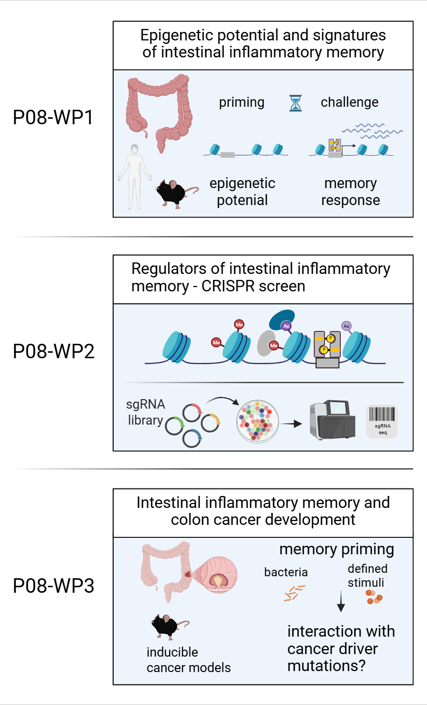 graphical abstract aberger neu