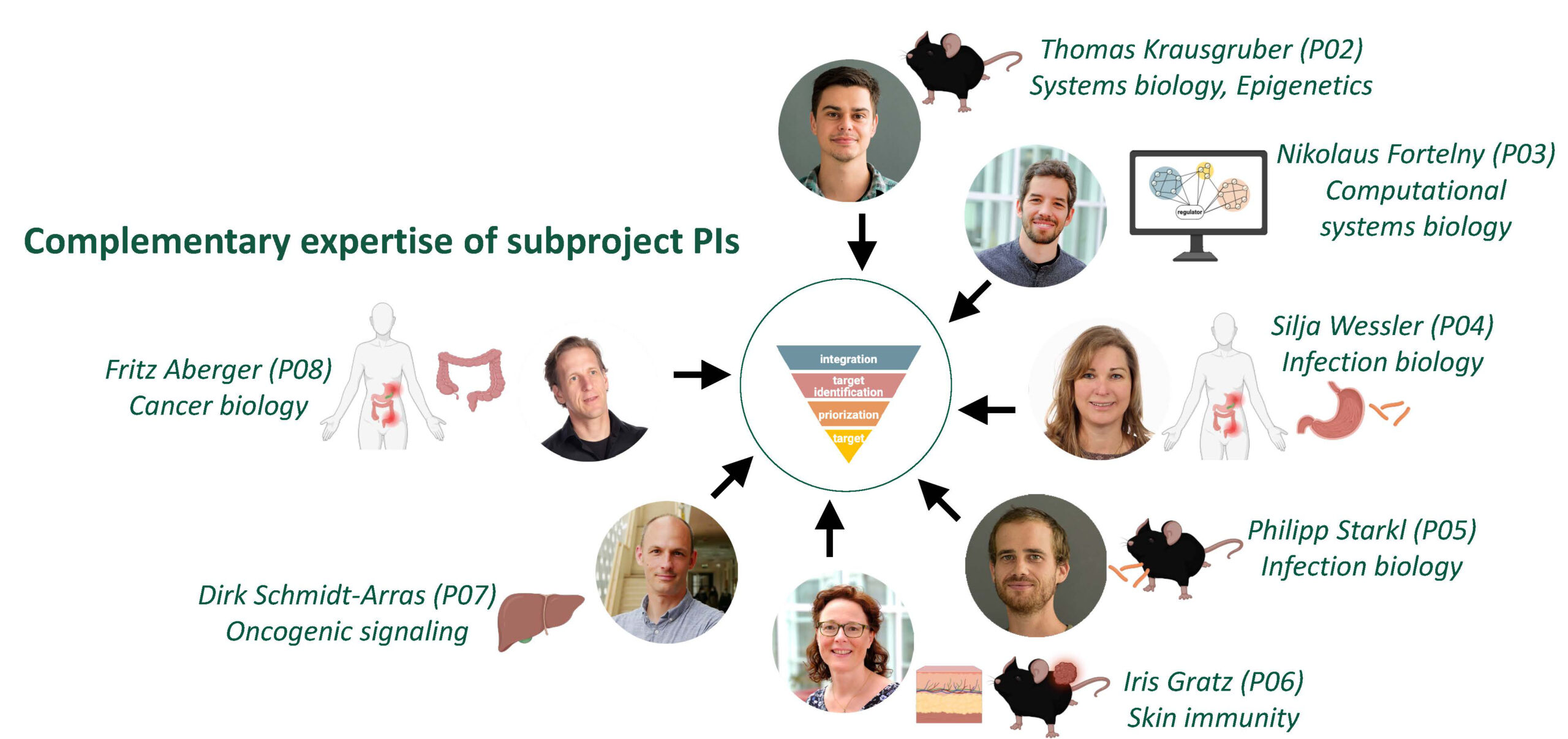 epiflame slide pis ohne balken