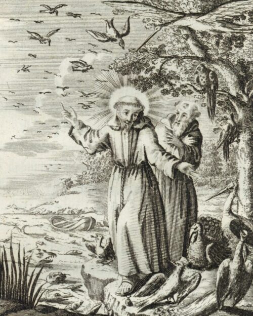 Vogelpredigt des hl. Franz von Assisi