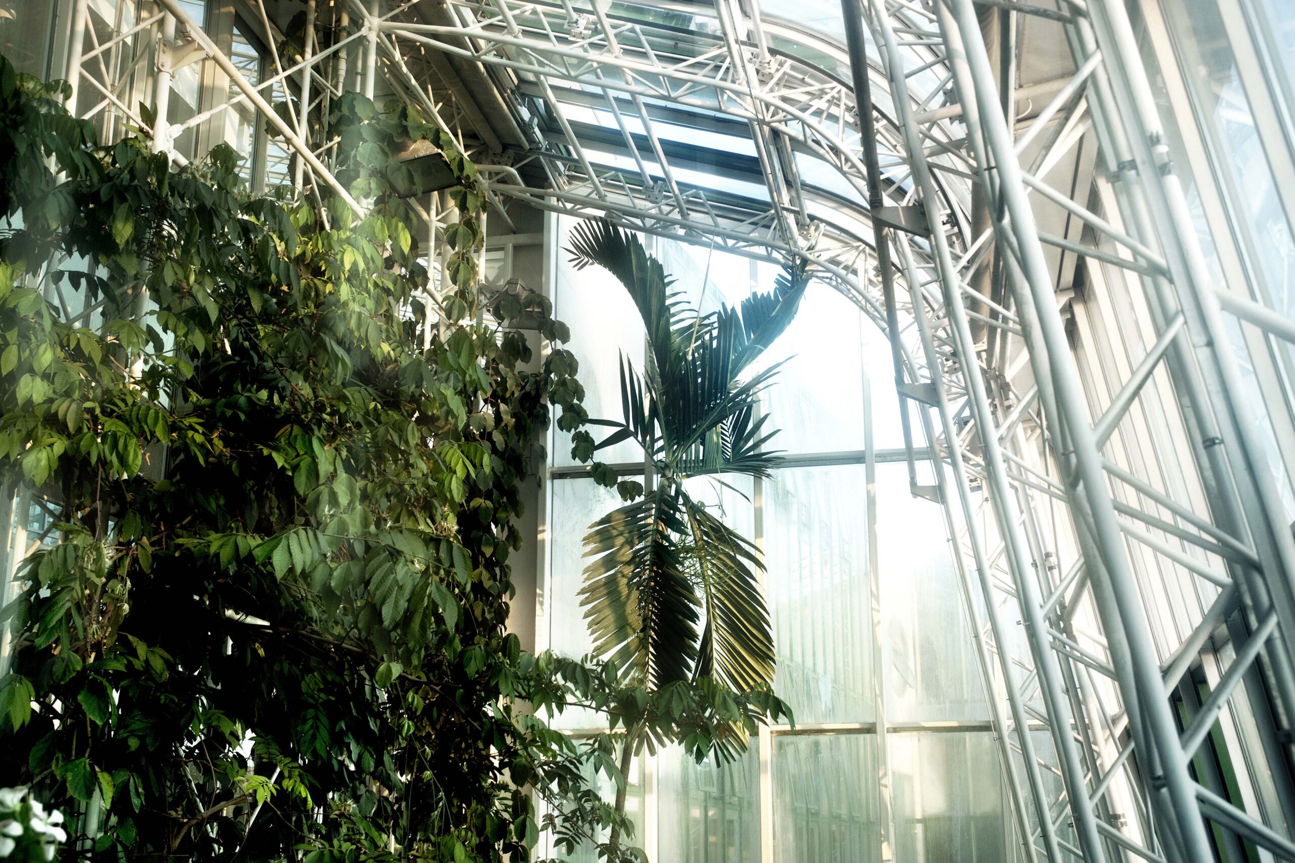 Glashaus mit Pflanzen