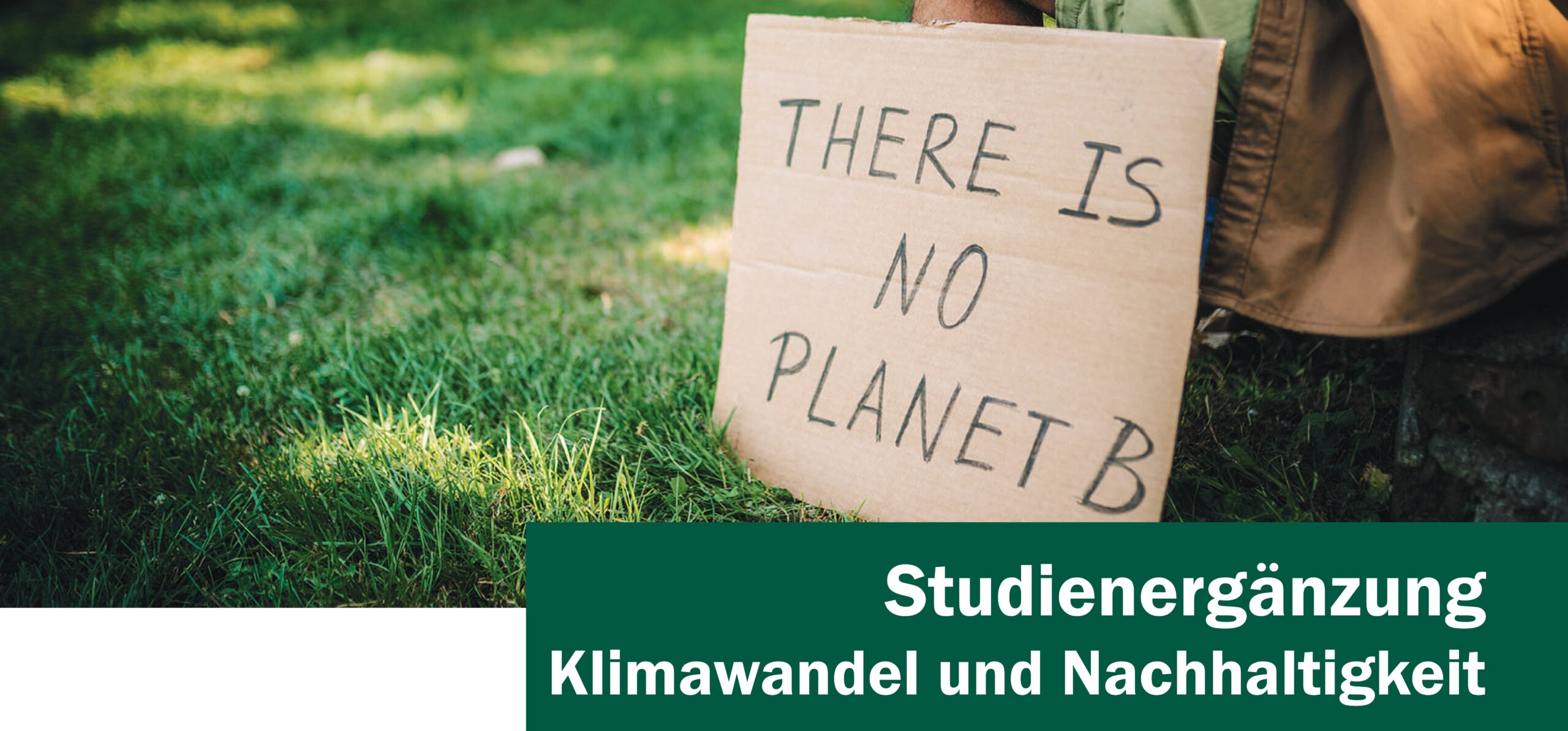 Infoplakat Studienerg&auml;nzung