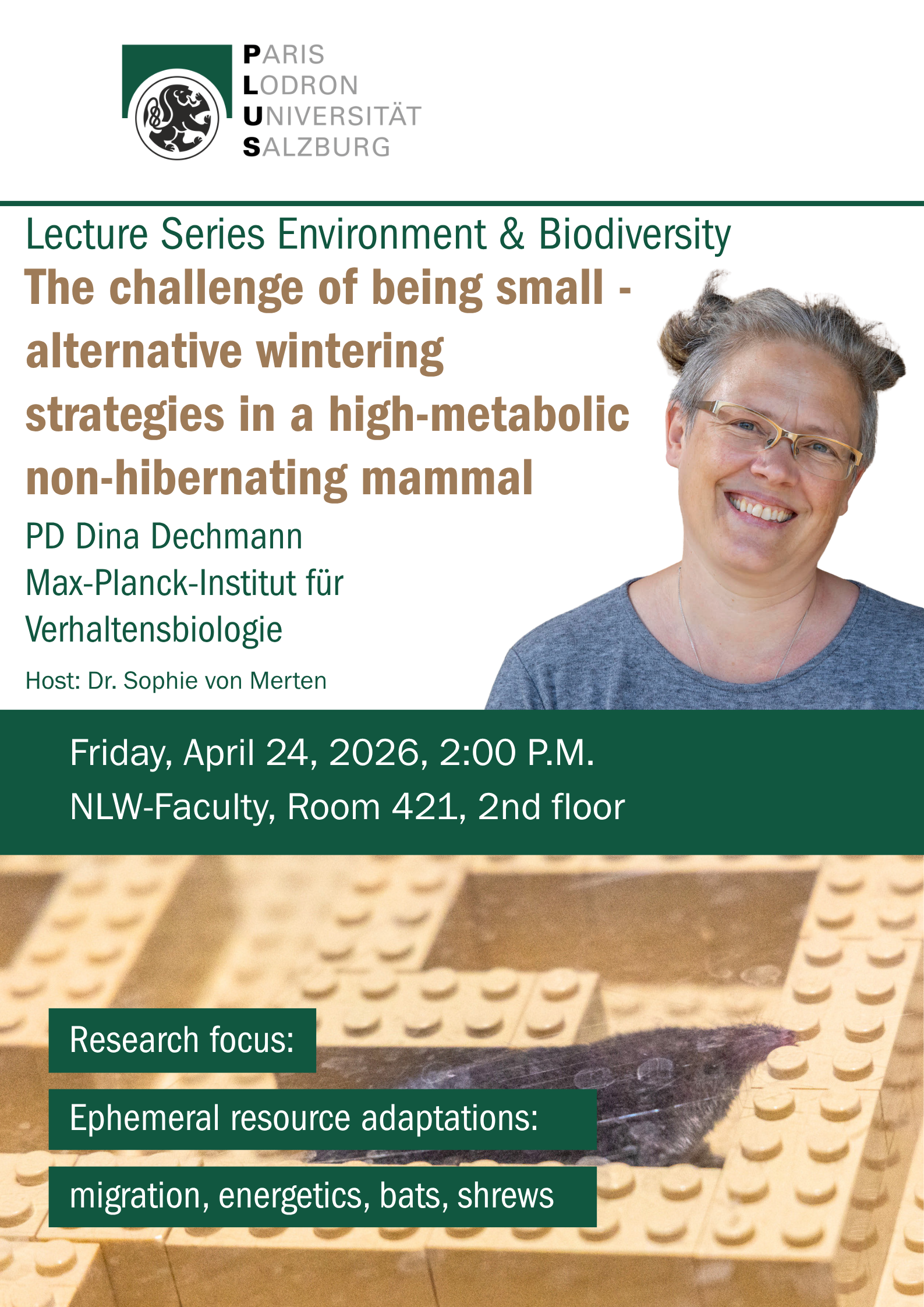 Guest Lecture Dina DECHMANN