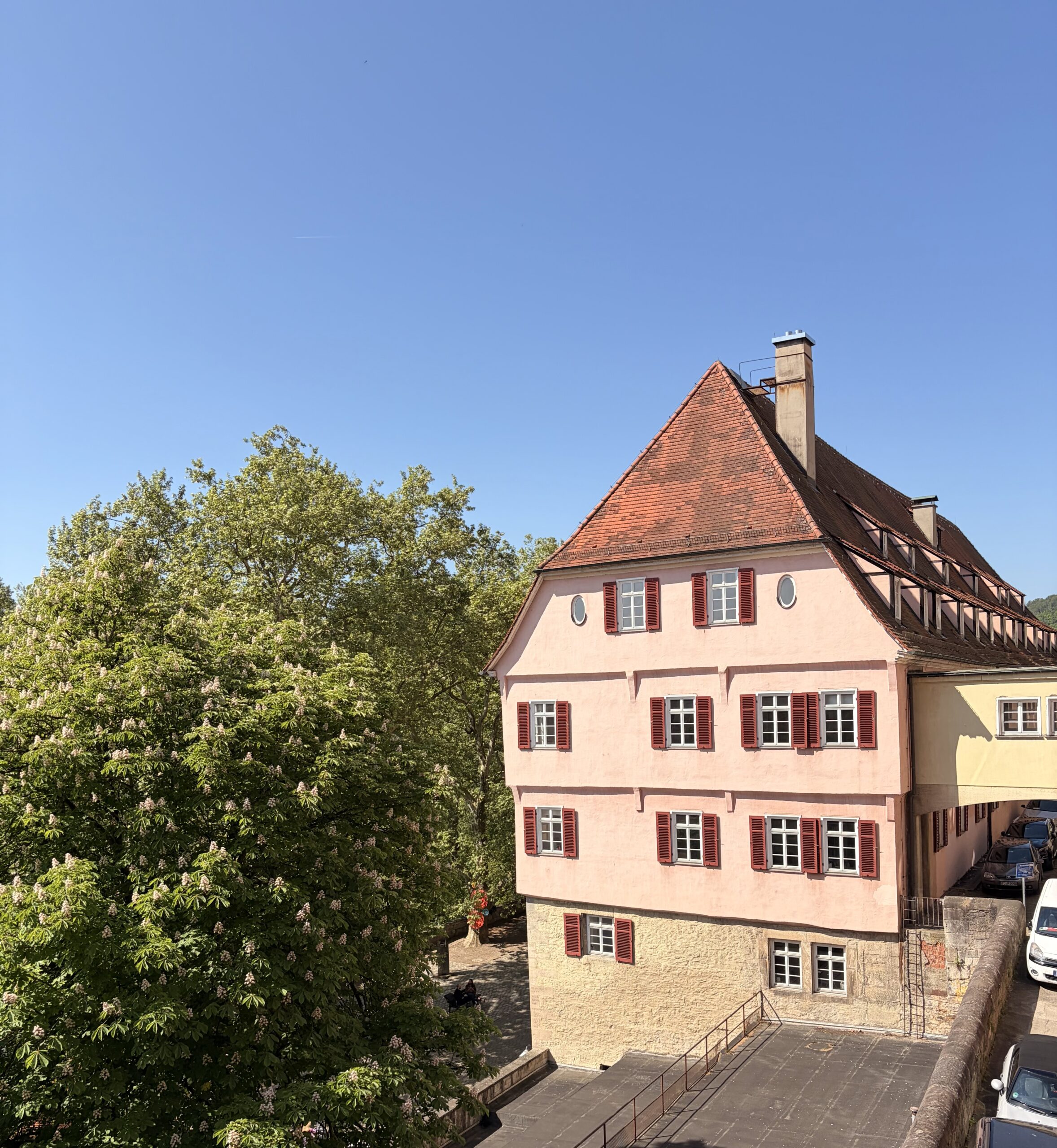 DH_19-05-2026_04
