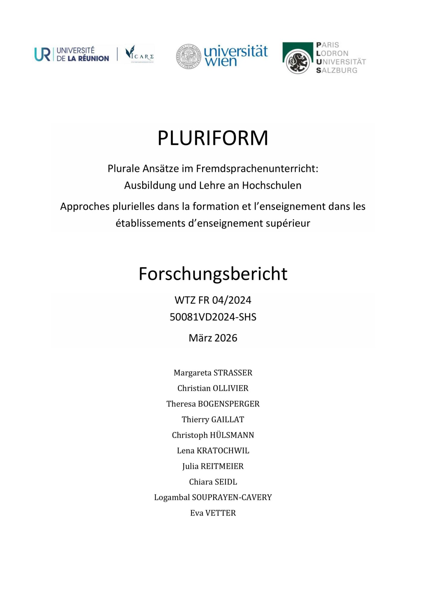 Pluriform Projektbericht Cover