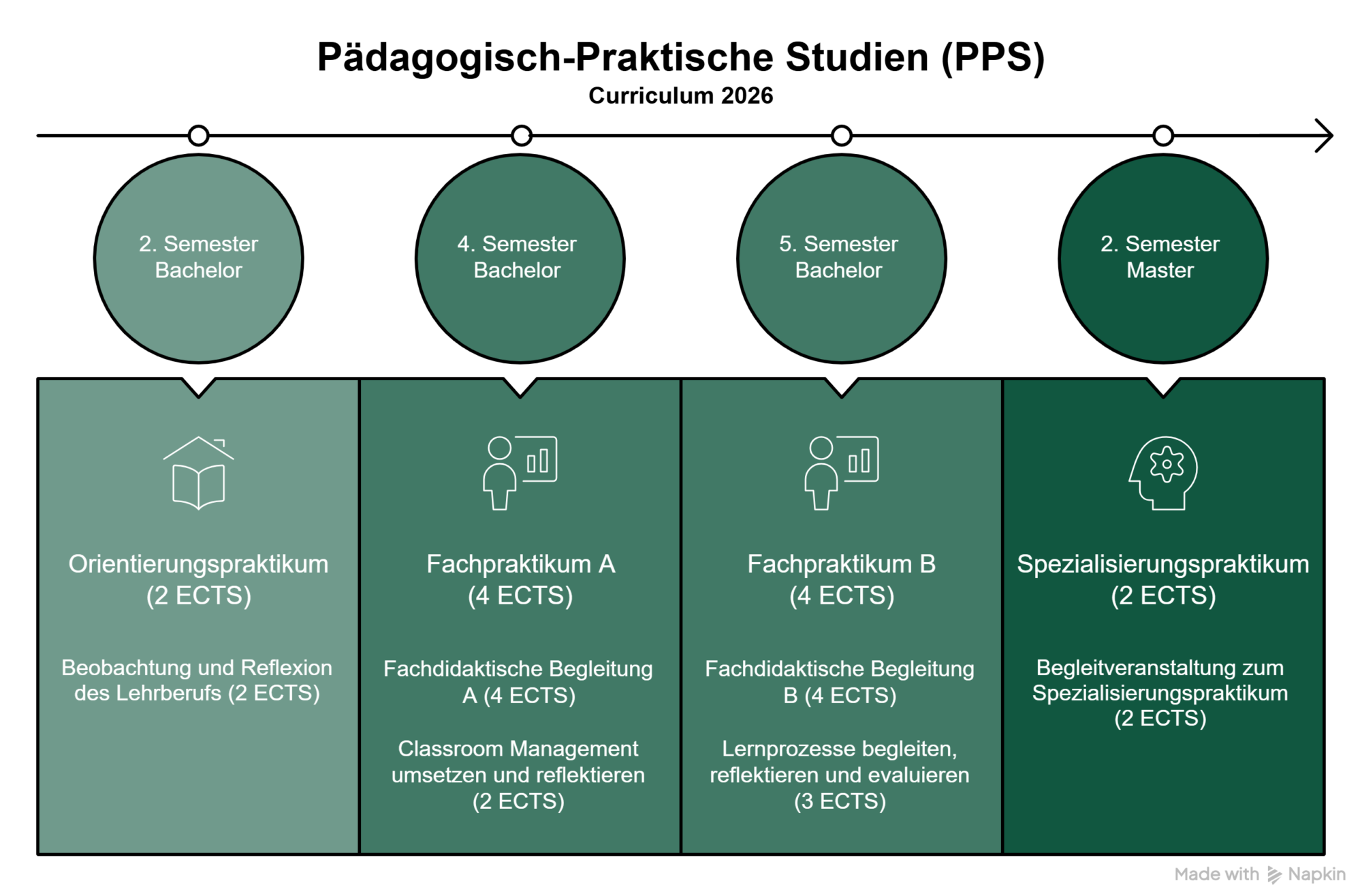 Grafik Pädagogisch-Praktische Studien (PPS)
