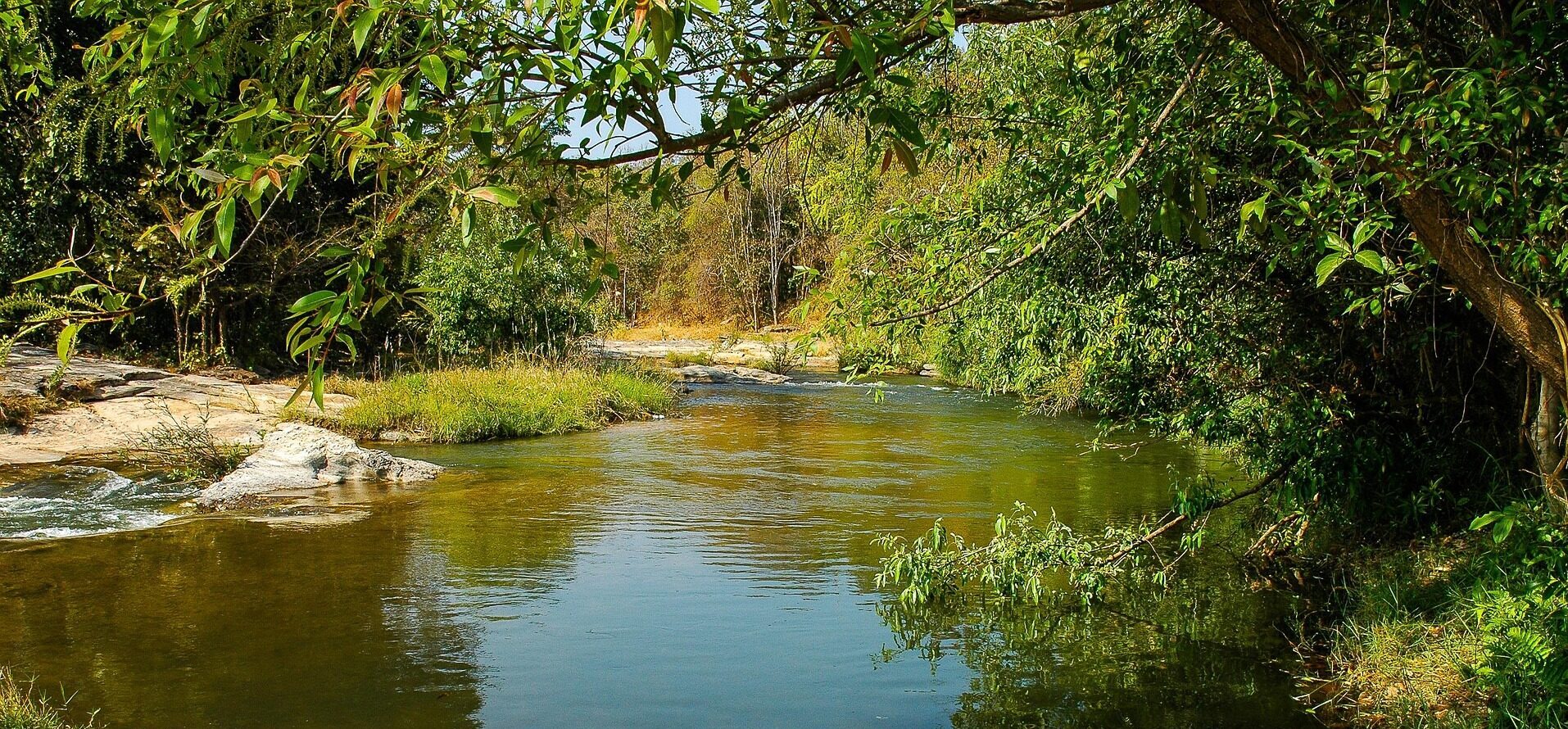 Bild Wasser