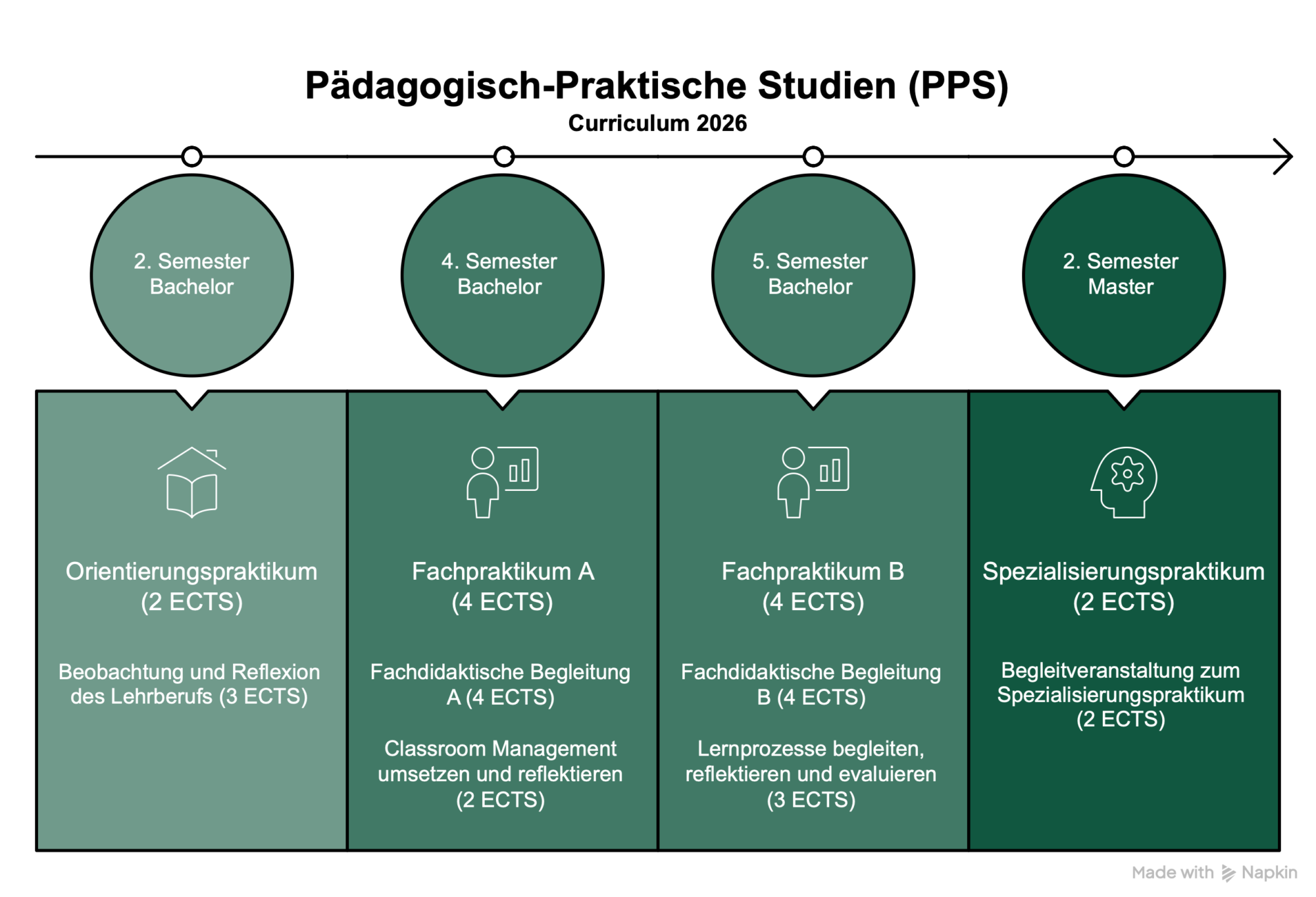 Grafik Pädagogisch-Praktische Studien (PPS)