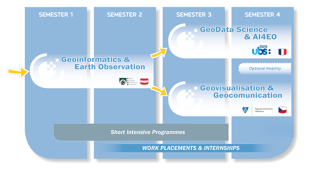 Study Path