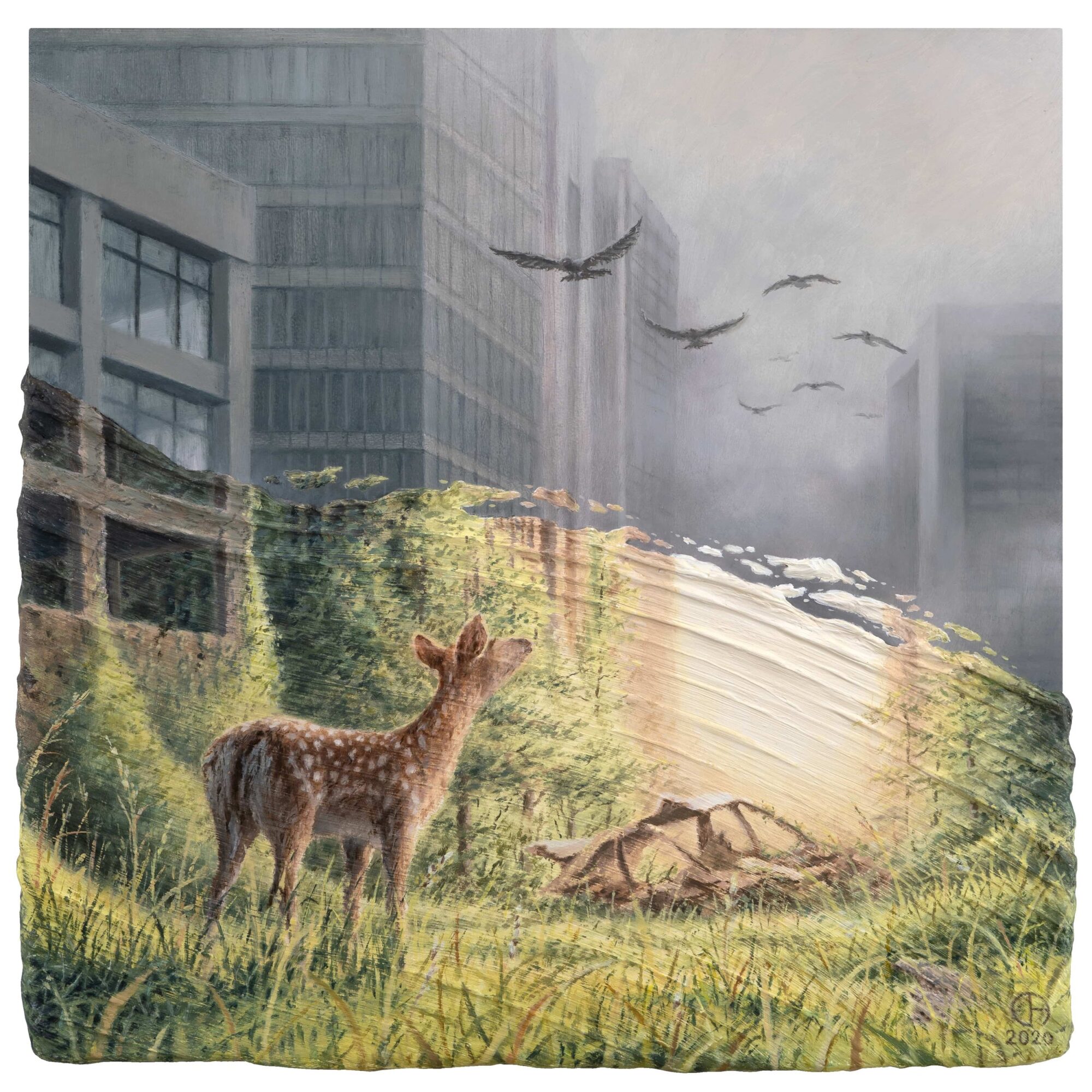 HazyNotion - David Ambarzumjan