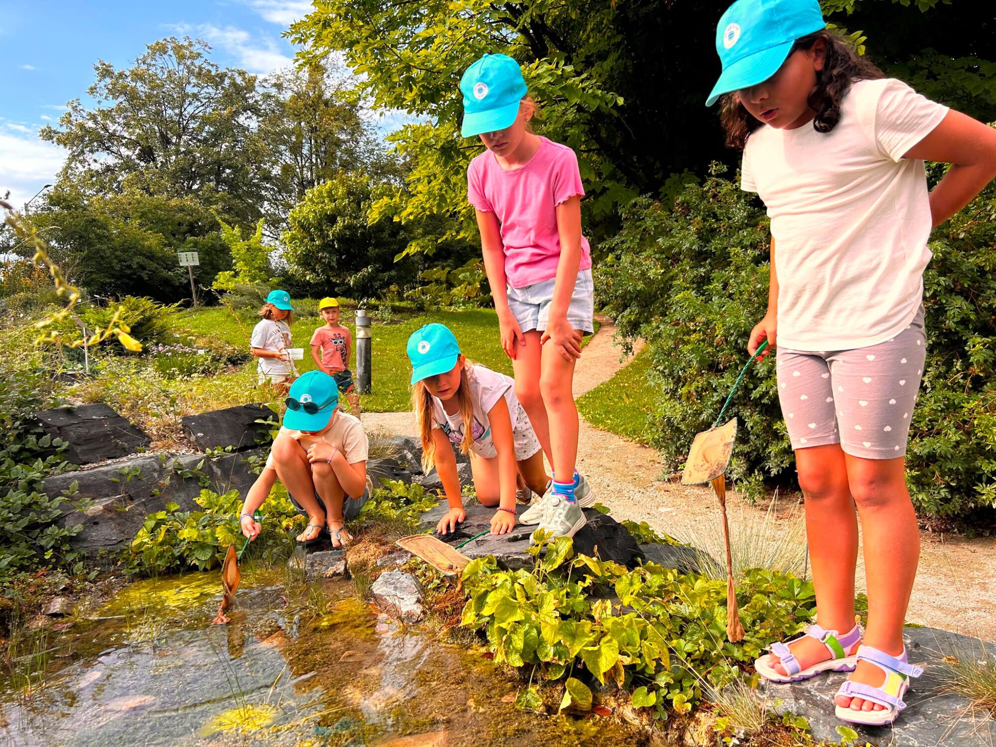 Kinder entdecken Tiere und Pflanzen in einem Teich