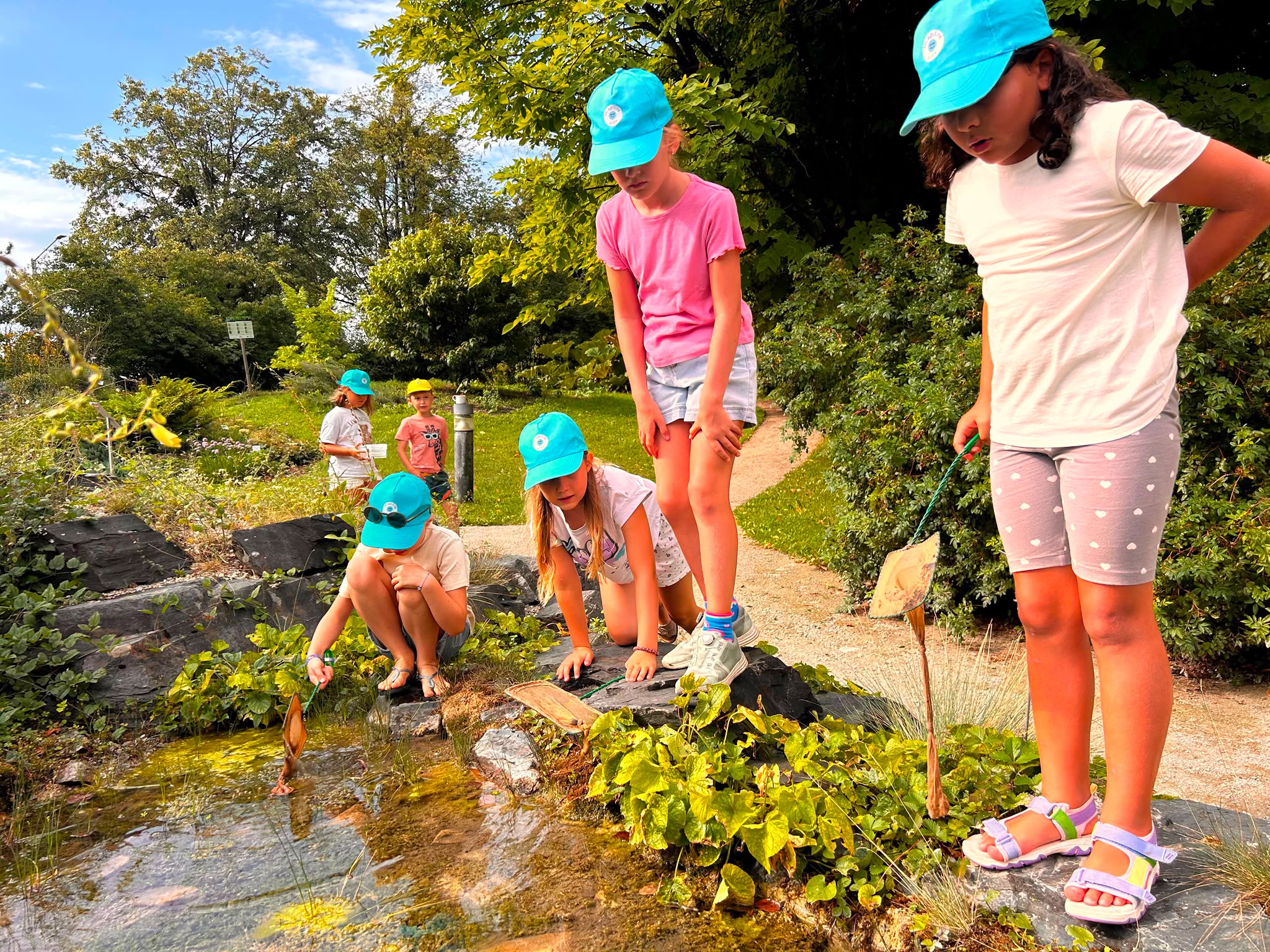 Kinder entdecken Tiere und Pflanzen in einem Teich
