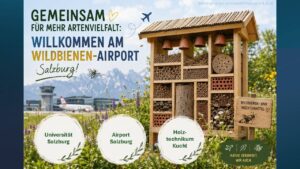Wildbienenhotel