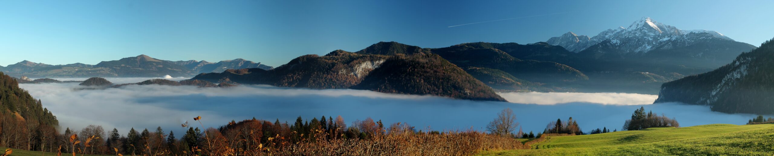 Panorama