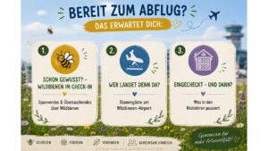 Wildbienen_Infos2