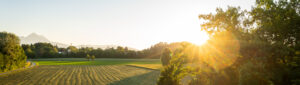 Sonnenuntergang Freisaal