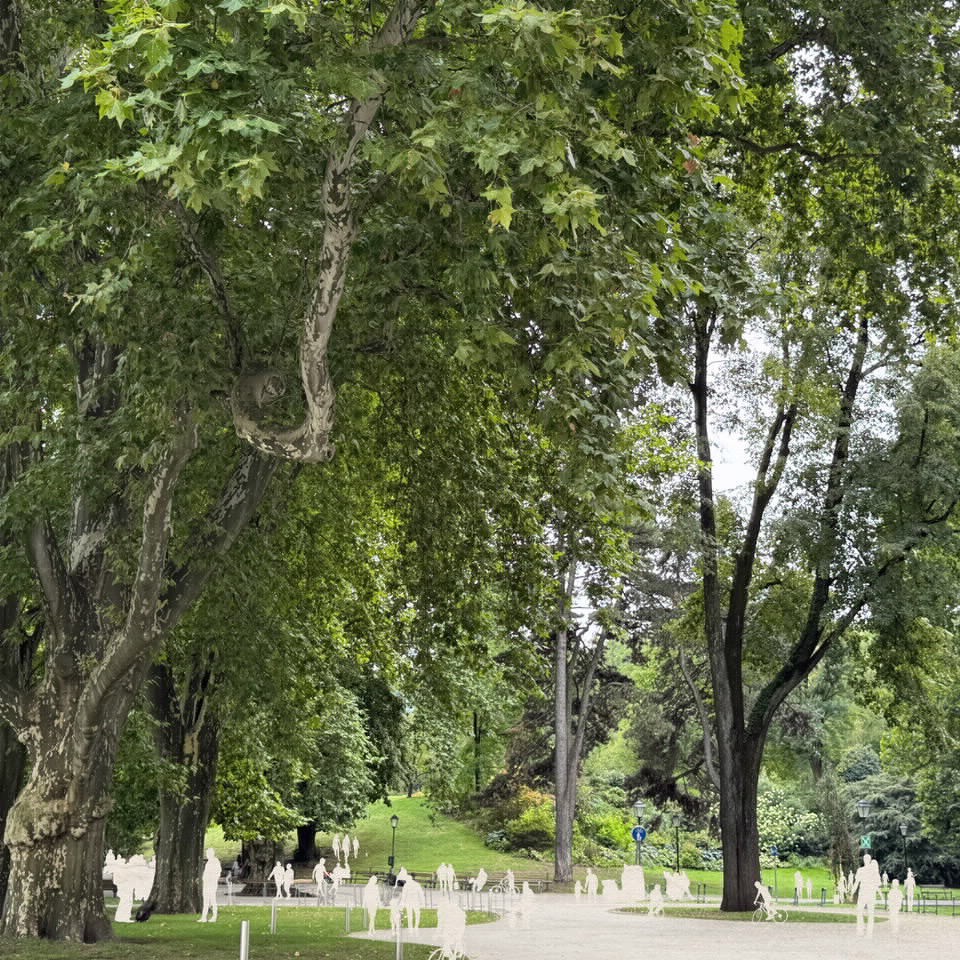 Becoming with trees