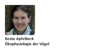 Beate Apfelbeck