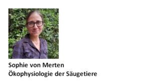 Sophie von Merten