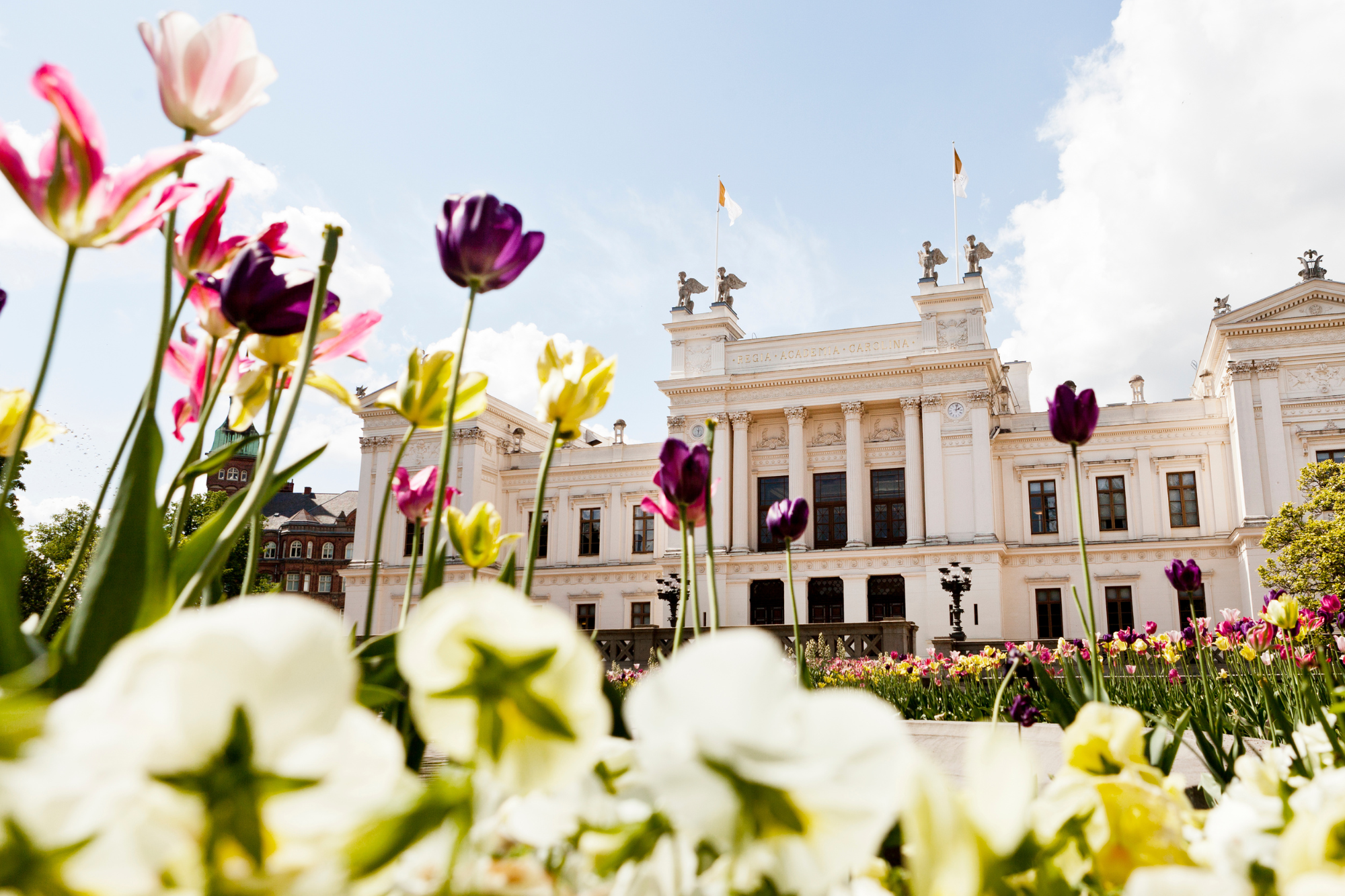 Uni_Lund_Auslandsemester2627
