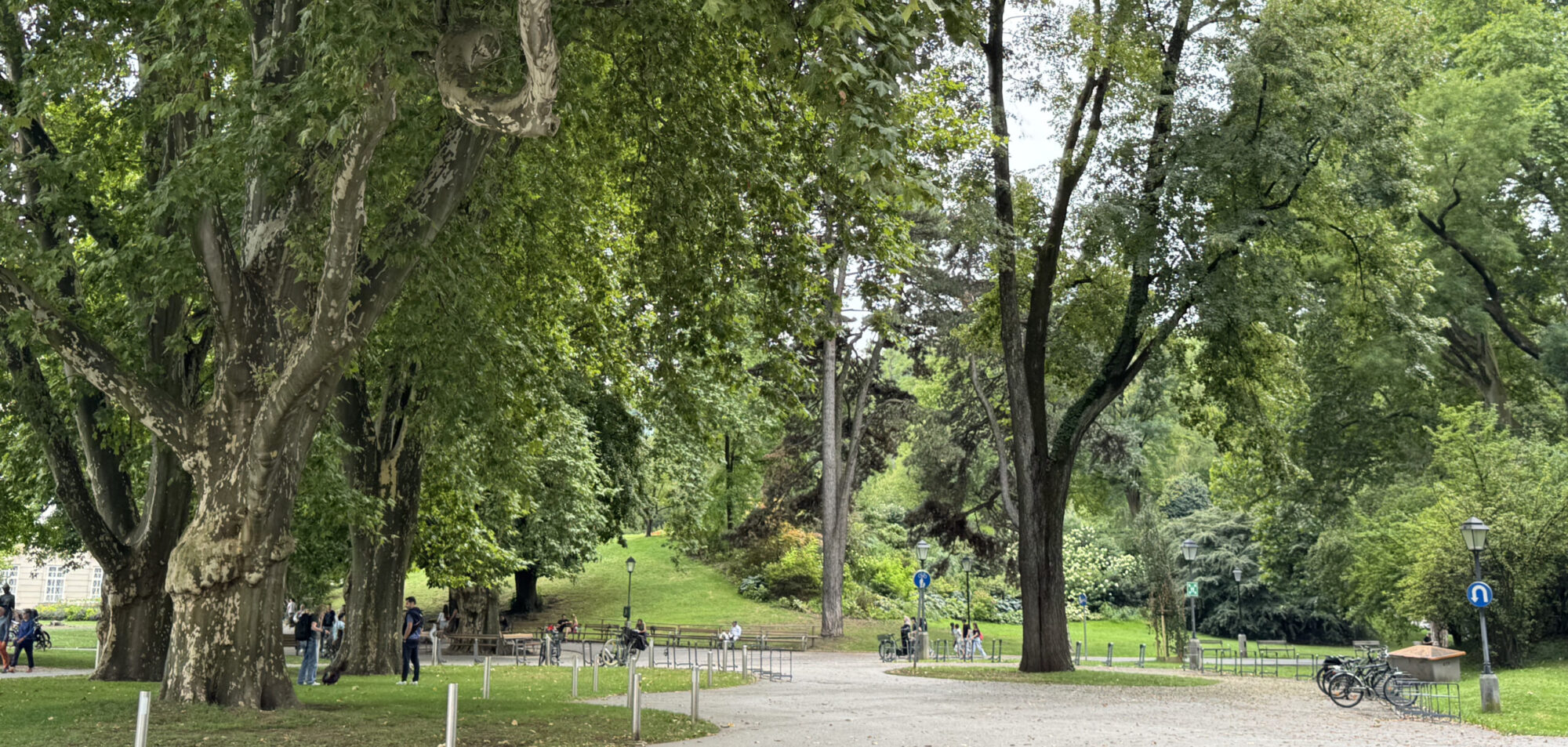 Bäume im Kurpark