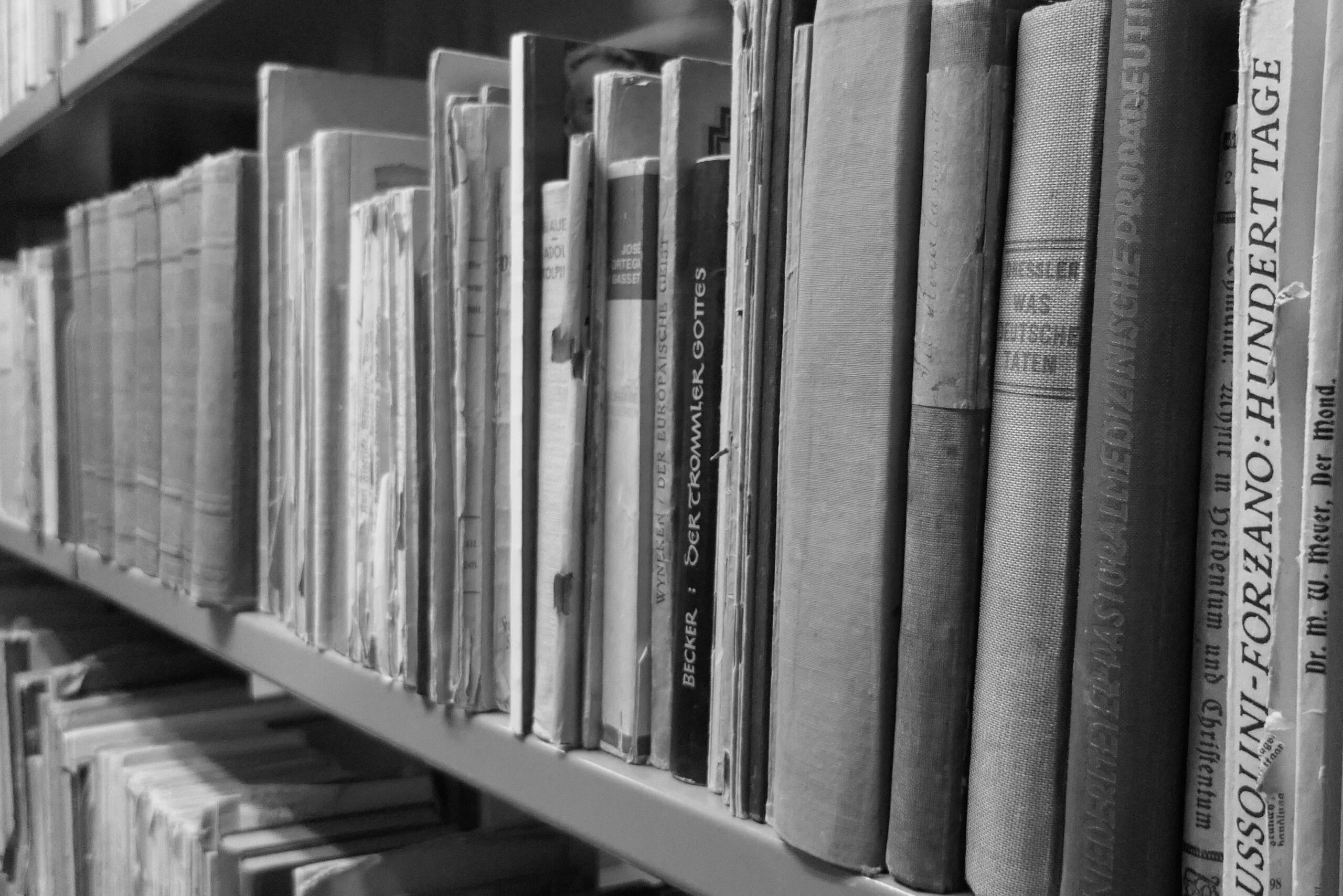 Bibliothek